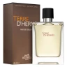 Hermes Terre D'Hermes Pour Homme 100 мл, туалетная вода