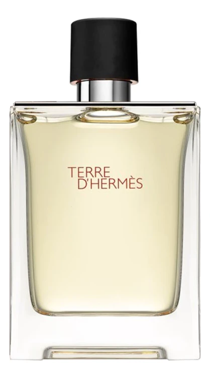Hermes Terre D'Hermes Pour Homme 100 мл, туалетная вода